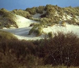 duinen