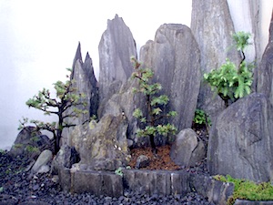 zen penjing tuin