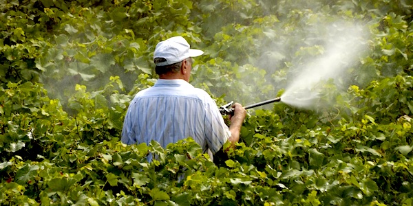 pesticide glyfosaat