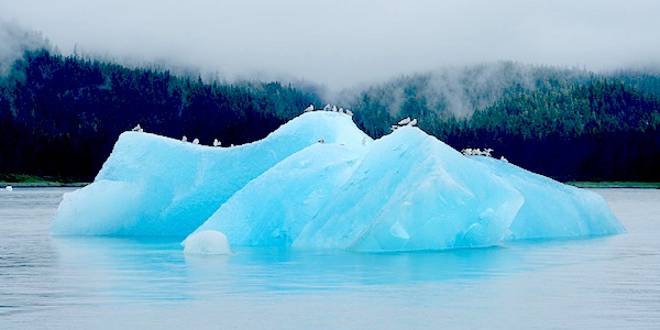 iceberg noordpool