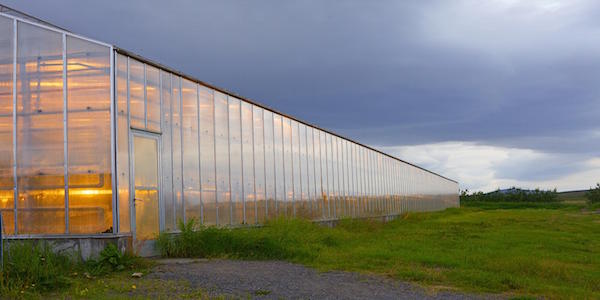 duurzaam beleggen groeit