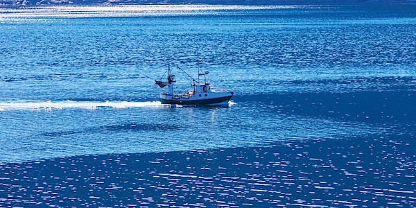 vissersboot overbevissing