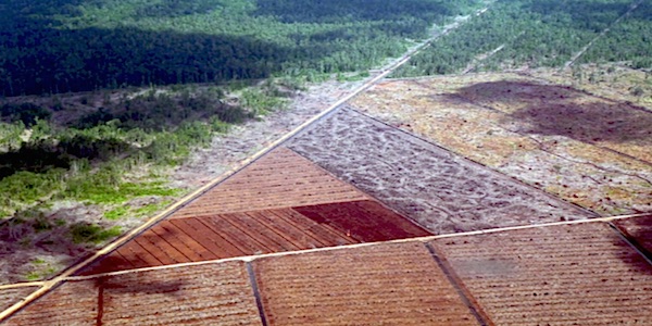 verzekeringswijzer landroof