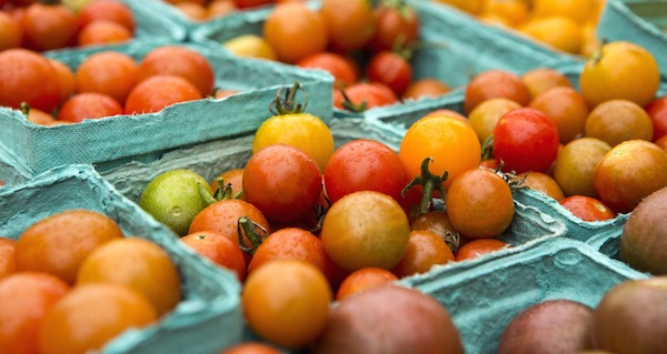 biologische tomaten