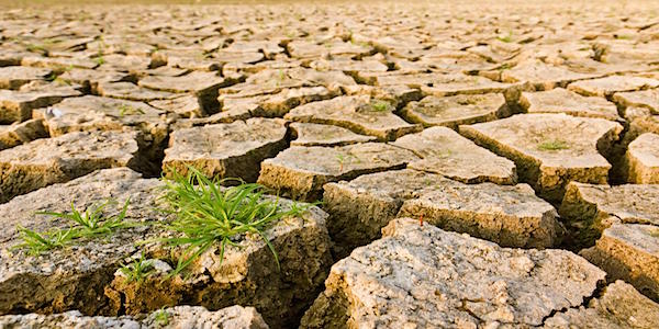 droogte landherstel