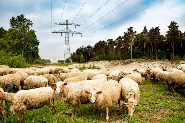 tennet natuur kaart