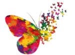 Zaken die je raken: het butterfly-effect van sociaal ondernemers Zaken die je raken: het butterfly-effect van sociaal ondernemers