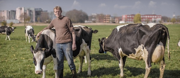 stadslanderijen zwolle van vlisteren