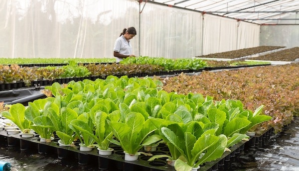 biologische duurzame landbouw