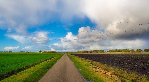 gemeenschappelijk landbouwbeleid