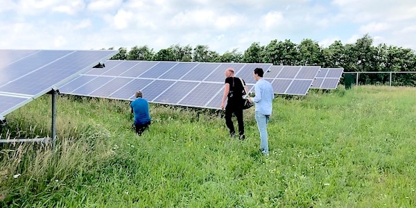 zonnepanelen paneelopnaam zonneweides