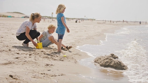 tegenlicht waterlanders