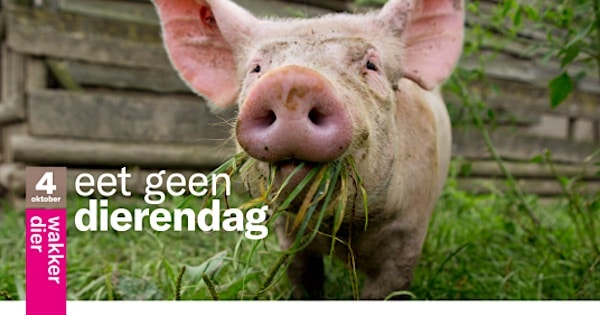 eet geen dierendag