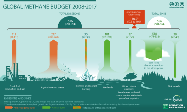 methane budget