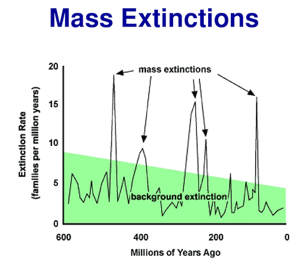 mass extinction