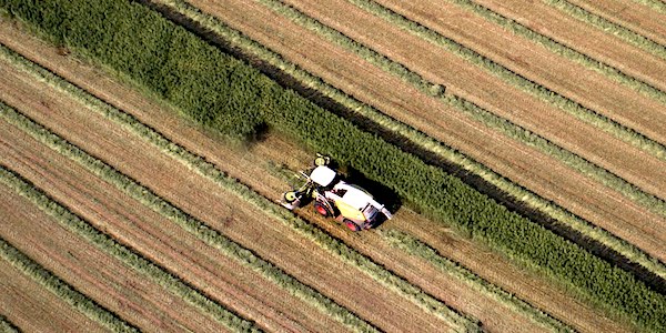 agro industrie ontbossing