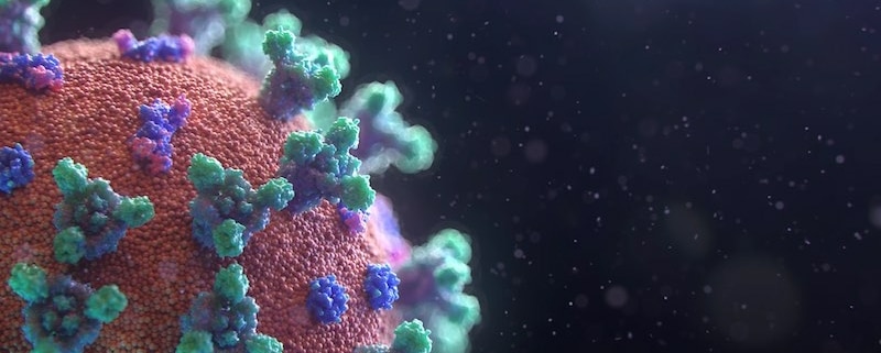 covid 19 coronavirus
