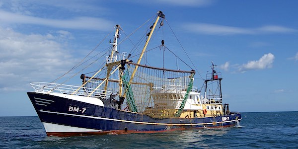 boomkor trawler blauwe voedingsmiddelen