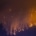 bosbrand klimaatverandering