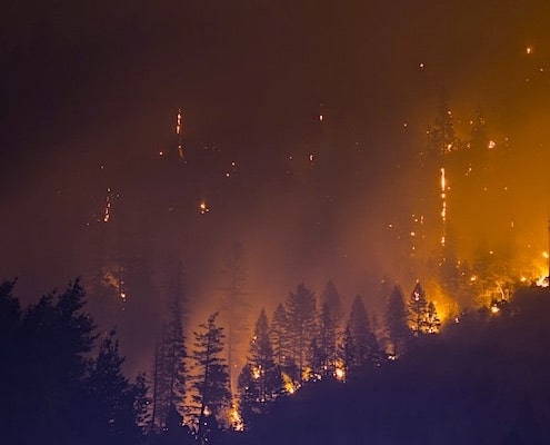 bosbrand klimaatverandering