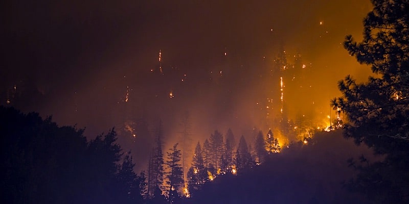 bosbrand klimaatverandering