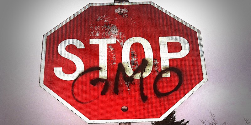 stop gmo nieuwe gentechnieken