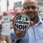 definitie ecocide