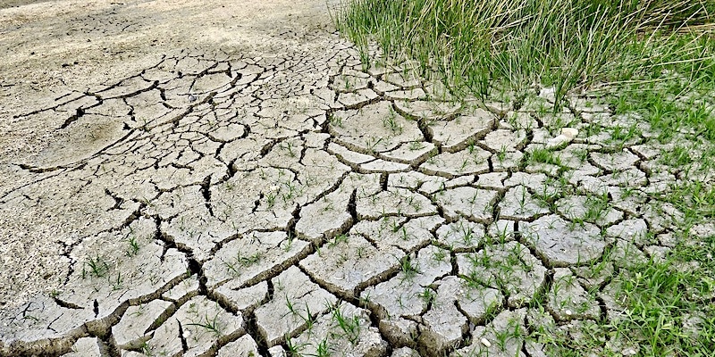 droogte door klimaatverandering