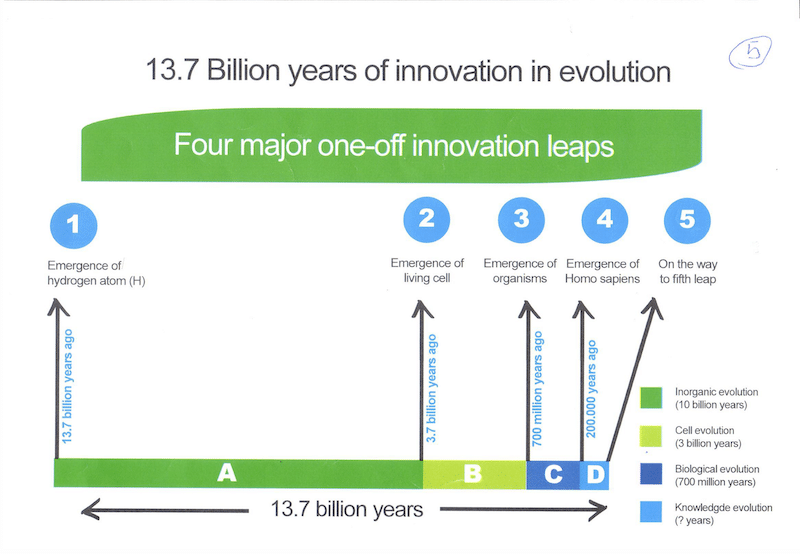 kantelpunten in de evolutie