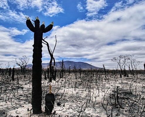 echte ongemakkelijke waarheid ipcc