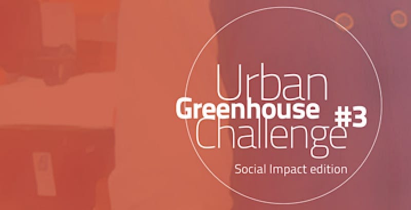 urban greenhouse challenge 3