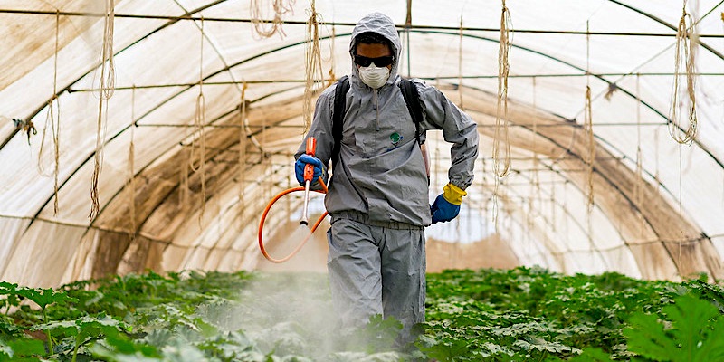 glyfosaat kankerverwekkend pesticide