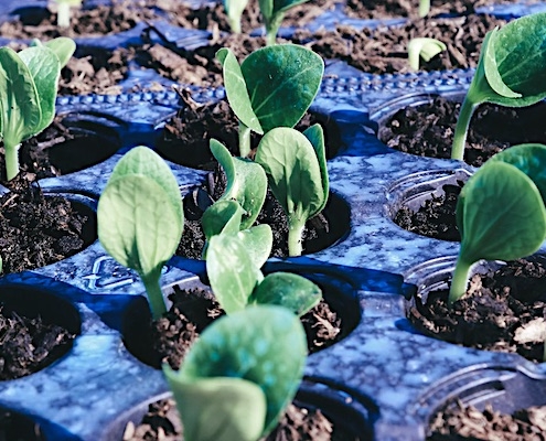 plastic in landbouw