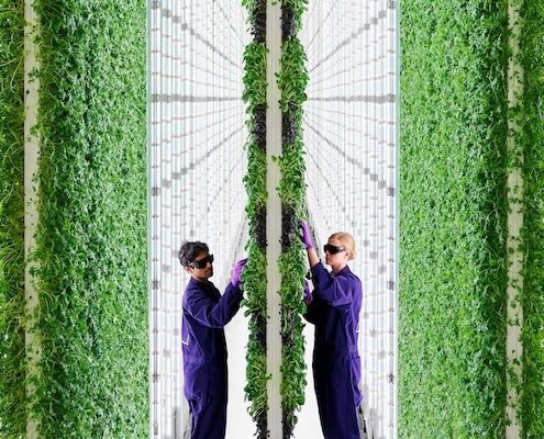 vertical farming