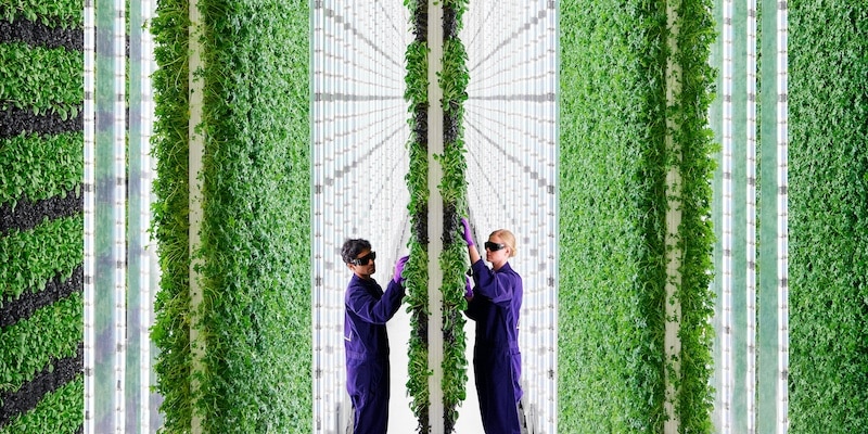 vertical farming duurzame landbouw