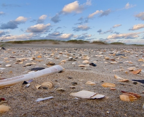 groen strand