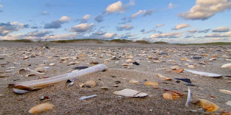 groen strand