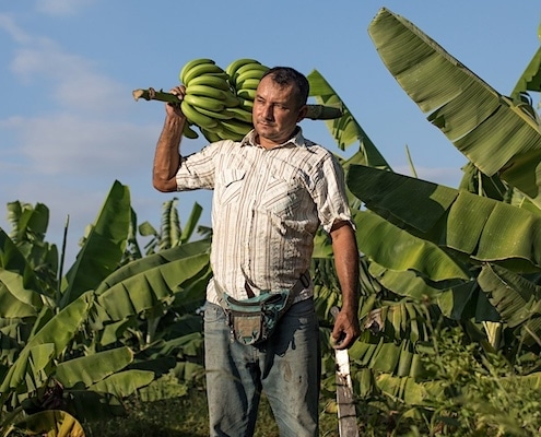 fairtrade boer