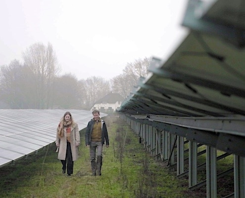 tegenlicht samen vergroenen