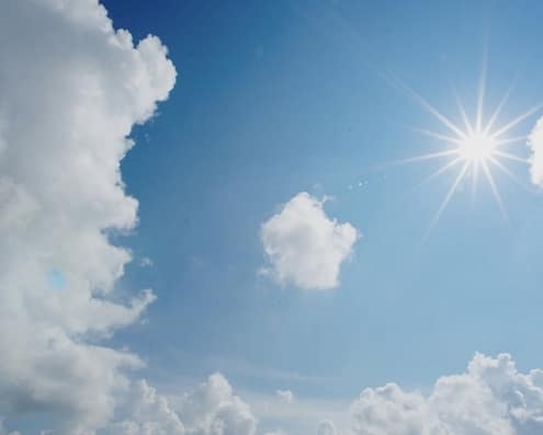 zon