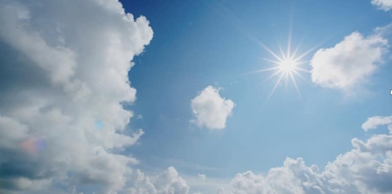 zon-768x381.jpg