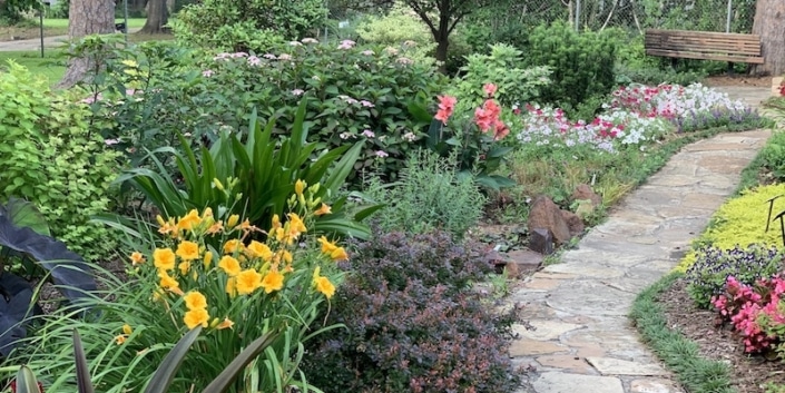 De tuin gaat dood, maak hem weer groen