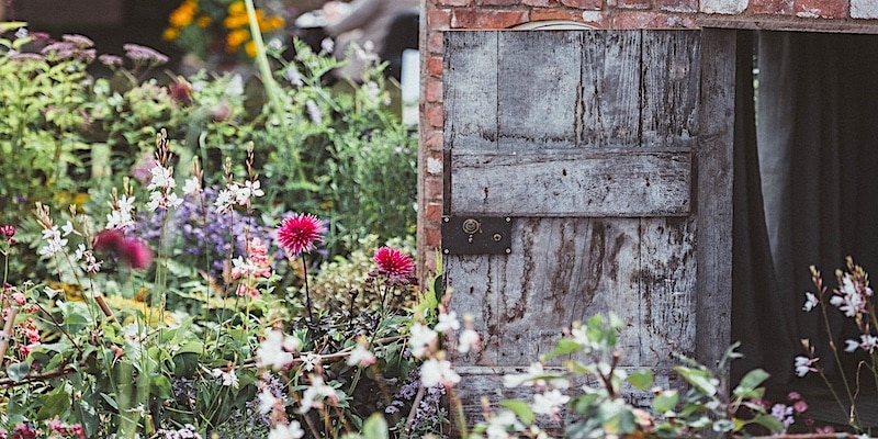 tuinieren in een klimaatbestendige tuin