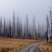 klimaatdoelen