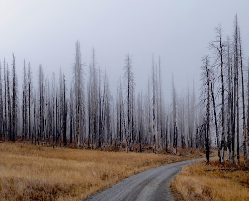 klimaatdoelen