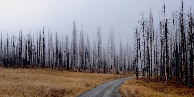 klimaatdoelen