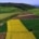 root causes landbopuw