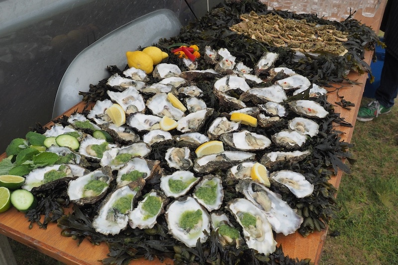 oesters