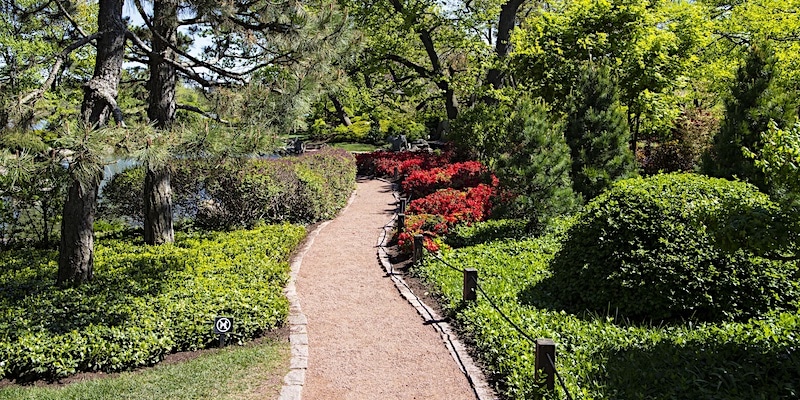 tuinpad