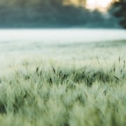 duurzame landbouw